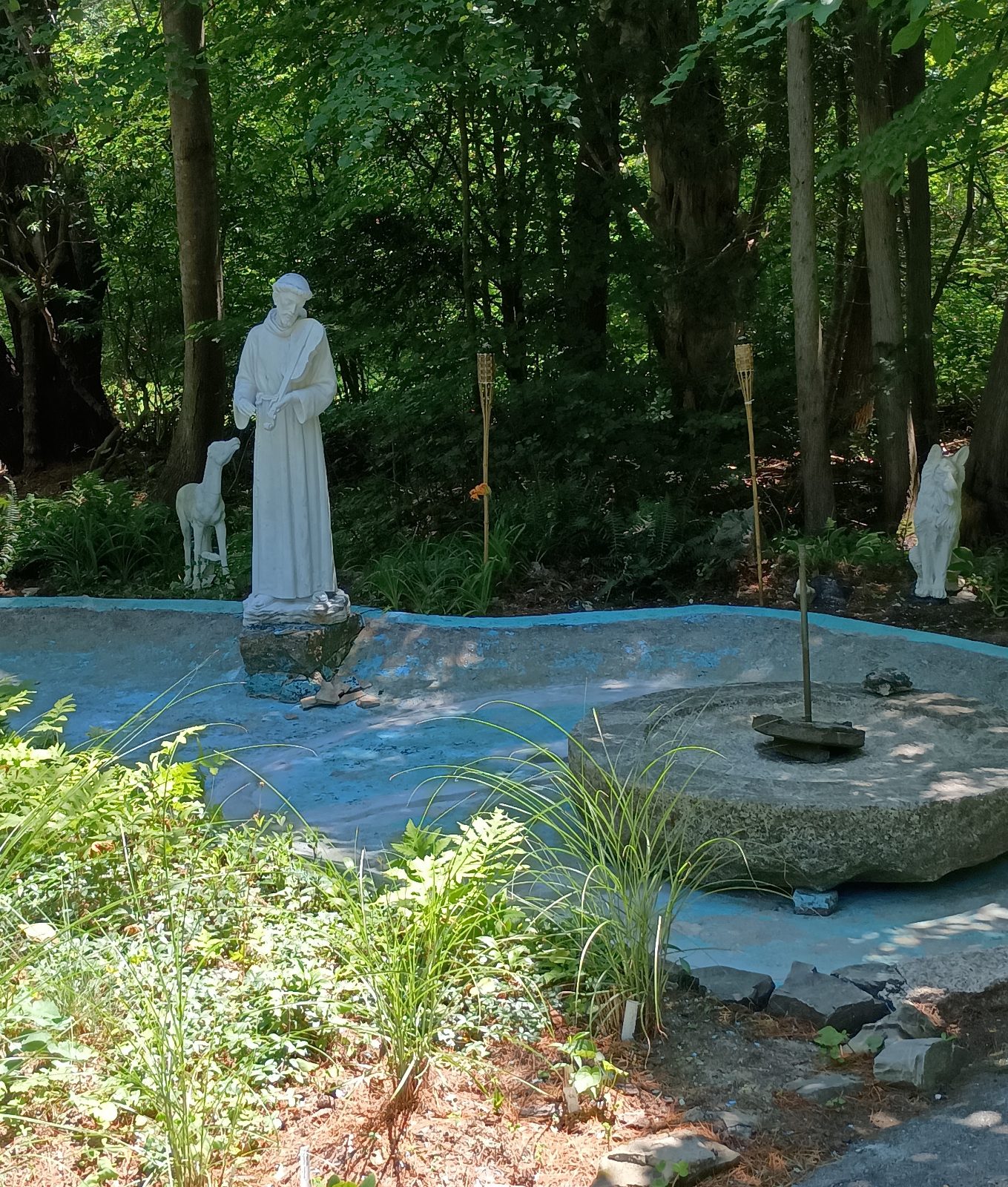 Image 8
