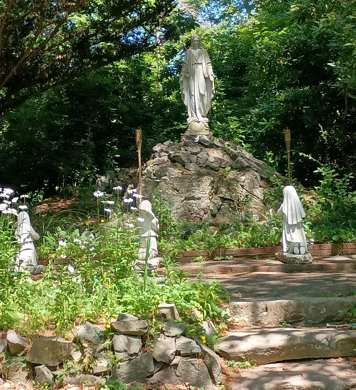 Image 7